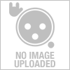 medium avatar